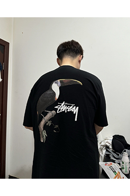 ステューシー  アニマルシリーズTOUCAN TEEオオハシTシャツ