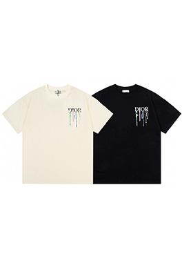 ディオール水源保護 ロゴプリント 半袖Tシャツ