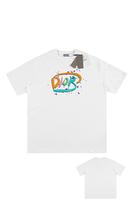 ディオールビッグロゴ スプレープリント 半袖Tシャツ