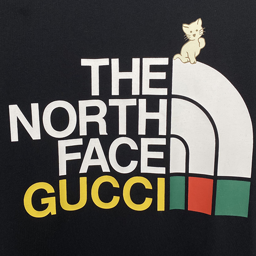 THE NORTH FACE TNF X GUCCI半袖Tシャツ