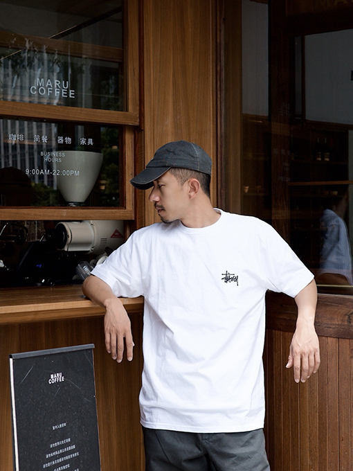 ステューシー サンセットココナッツビーチビューTシャツ
