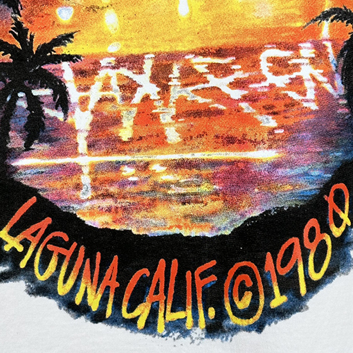 ステューシー サンセットココナッツビーチビューTシャツ