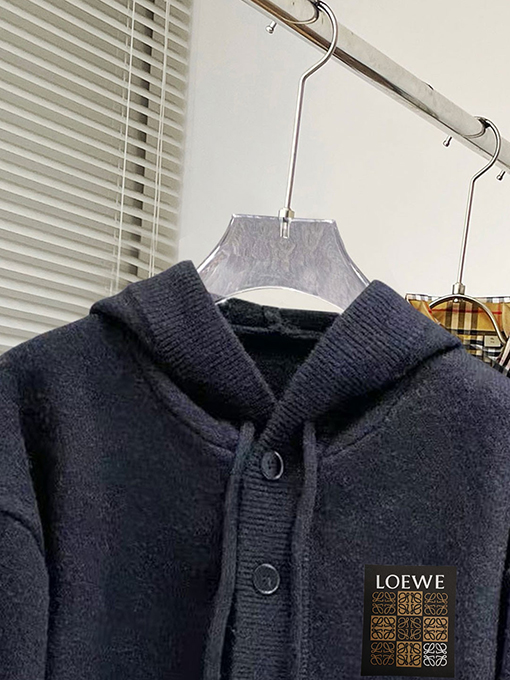 ロエベ Loewe 新モデルレターロゴフード付きセーター