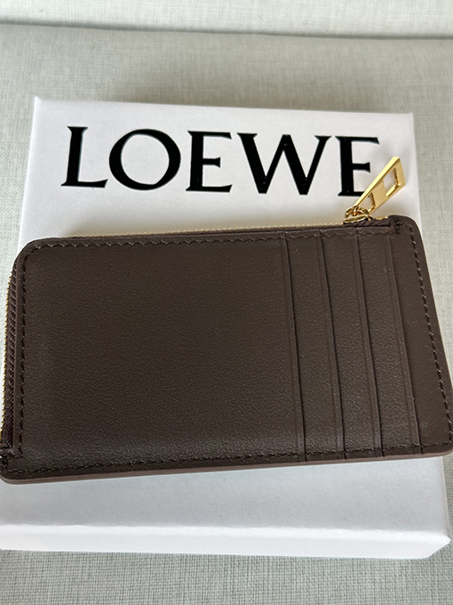 ロエベ Landscape グラデーションナッパレザーのコイン＆カードホルダー