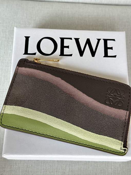 ロエベ Landscape グラデーションナッパレザーのコイン＆カードホルダー