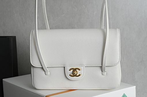 シャネルスーパーコピー 26P Preppy Coco レディーススタイリッシュな脇下バッグ