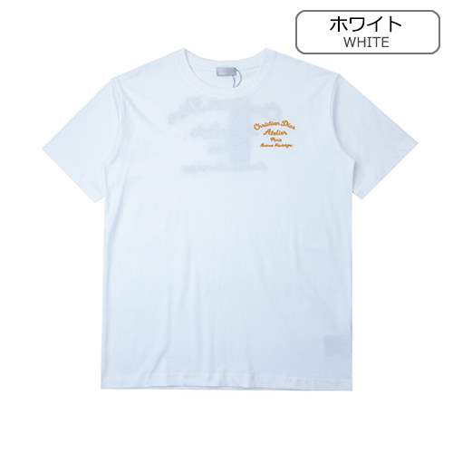 ディオールスーパーコピーメンズ レディース 半袖Tシャツ