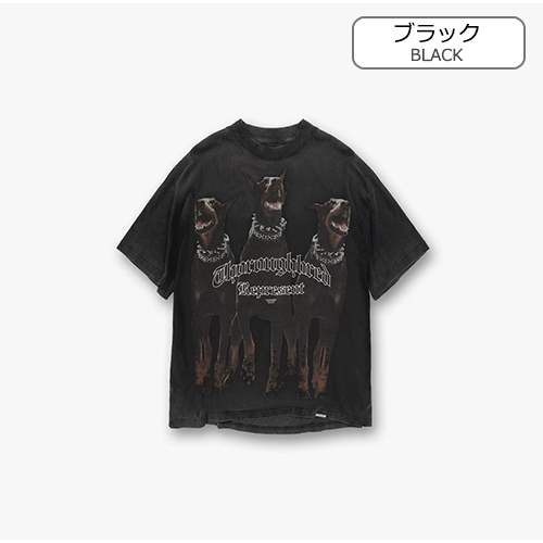 【リプレゼント】メンズ レディース 半袖Tシャツ 