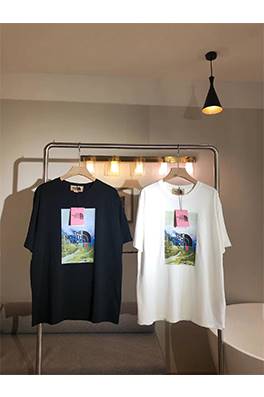 グッチコピー×【ノースフェイス】メンズ レディース 半袖Tシャツ